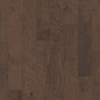 Shaw Floors Arbor Place Reflection Hardwood 07085_SW512