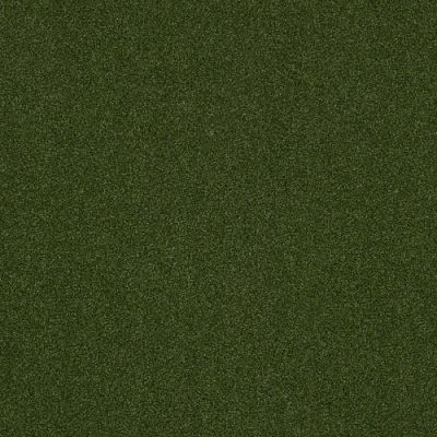 Philadelphia Commercial Agility 5mm Green Carpet 00300_54574