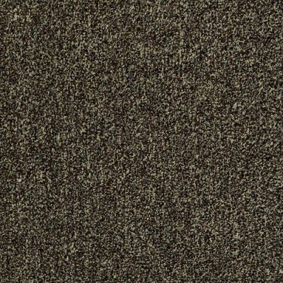 Philadelphia Commercial Arbor View T Walnut Shell Carpet 00711_54625