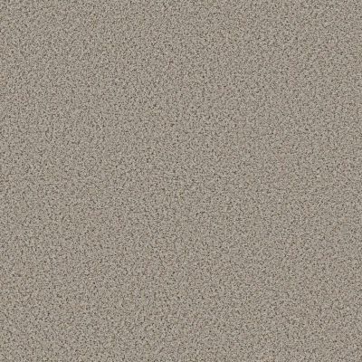 Shaw Floors Abilene I Gentle Rain Carpet 00171_5E821