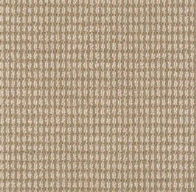 Anderson Tuftex Abbeys Road Bamboo Carpet 00236_ZZ013