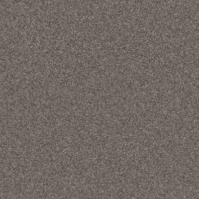 Shaw Floors Affirmation I Orion Gray Carpet 00512_5E794