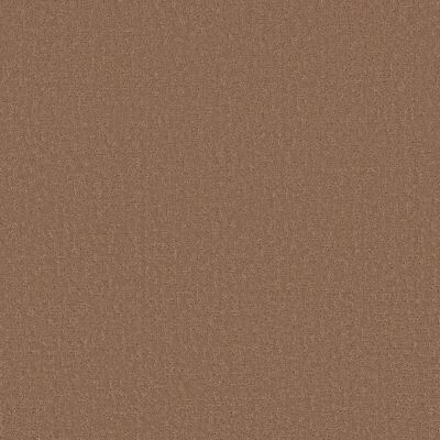 Shaw Anso Colorwall Canvas Comfort Blue Terracotta Pot Carpet 00650_5E660