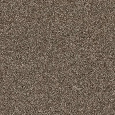 Shaw Floors Affirmation I Spanish Brown Carpet 00701_5E794