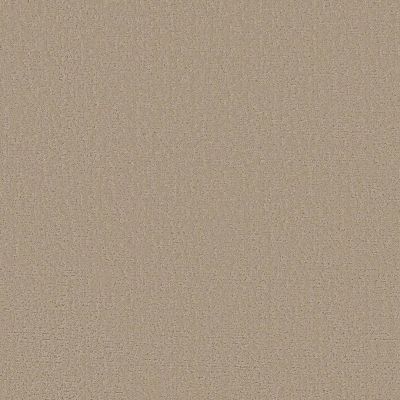 Shaw Anso Colorwall Canvas Comfort Blue Homemade Ice Cream Carpet 00124_5E660