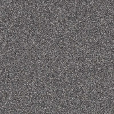 Shaw Floors Affirmation I Hypnotic Carpet 00412_5E794