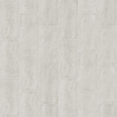 Shaw Floors Arena 12x24 Bone Tile 00100_221TS