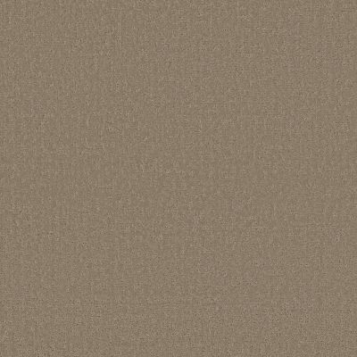 Shaw Anso Colorwall Canvas Comfort Blue Camping Trip Carpet 00749_5E660