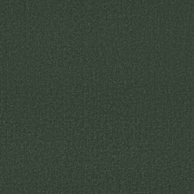 Shaw Anso Colorwall Canvas Comfort Blue Magnolia Branch Carpet 00322_5E660