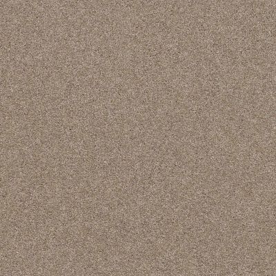 Shaw Floors Affirmation I Basketry Carpet 00106_5E794