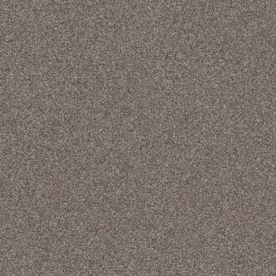 Shaw Floors Affirmation I Creek Bend Carpet 00712_5E794