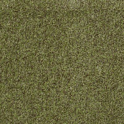 Philadelphia Commercial Arbor View T Mossy Bark Carpet 00310_54625