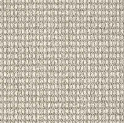 Anderson Tuftex Abbeys Road Moonlit Silver Carpet 00572_ZZ013