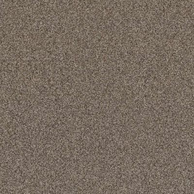 Shaw Floors Affirmation I Havana Carpet 00708_5E794