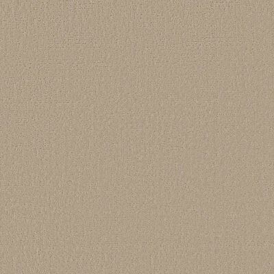 Shaw Anso Colorwall Canvas Comfort Blue Back Patio Carpet 00724_5E660