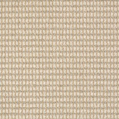 Anderson Tuftex Abbeys Road Timeless Carpet 00252_ZZ013