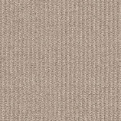 Anderson Tuftex Park Estates Oxford Tan CE00156_032nf