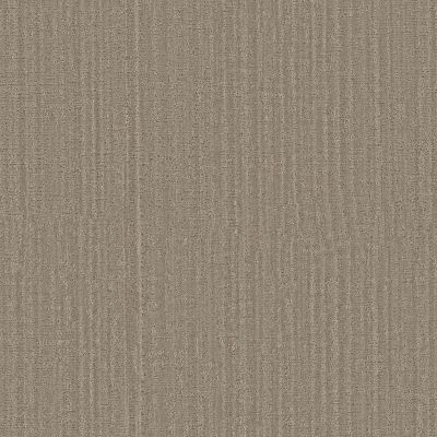Shaw Floors Pet Perfect Long Walk Cobblestone GF290109