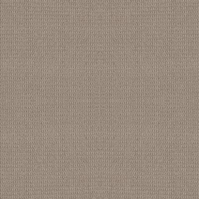 Anderson Tuftex Portofino Pumice CEZZ232-553