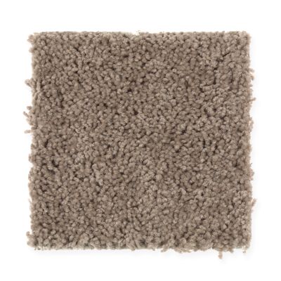 Mohawk Smartstrand Timeless Idea Party Mix 2G49-748