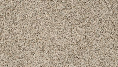 Karastan Smartstrand Instinctive Flair Quiet Light 43651-9726