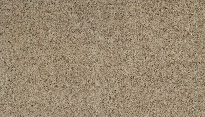 Karastan Smartstrand Instinctive Flair Renoir Bisque 43651-9741