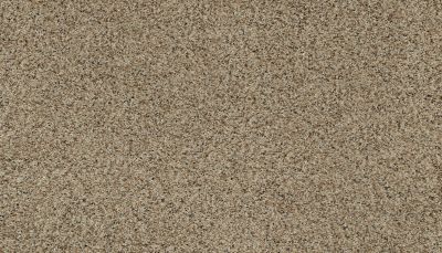 Karastan Smartstrand Instinctive Flair Fawn Brindle 43651-9756