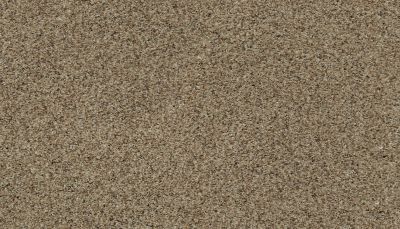 Karastan Smartstrand Instinctive Flair Georgian 43651-9765