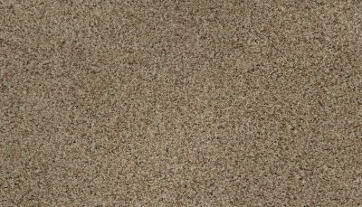 Karastan Smartstrand Instinctive Flair Cape Sands 43651-9767