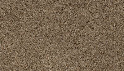 Karastan Smartstrand Instinctive Flair Toasted Seed 43651-9771