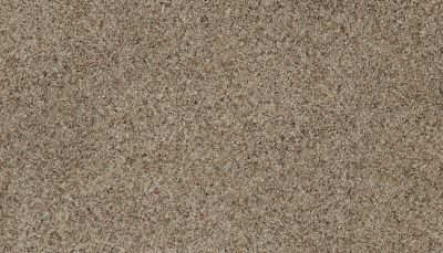 Karastan Smartstrand Instinctive Flair Bashful Taupe 43651-9776
