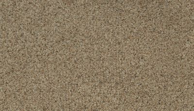 Karastan Smartstrand Instinctive Flair Natural Wicker 43651-9777