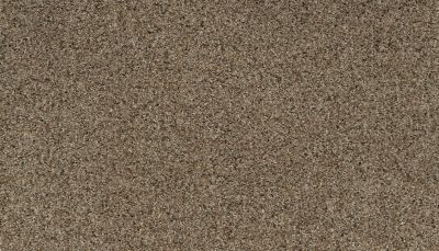 Karastan Smartstrand Instinctive Flair Ethereal Mood 43651-9786