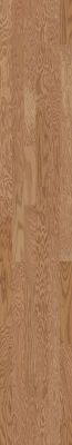 Shaw Floors SFA Arden Oak 3.25 Caramel 00223_SA489