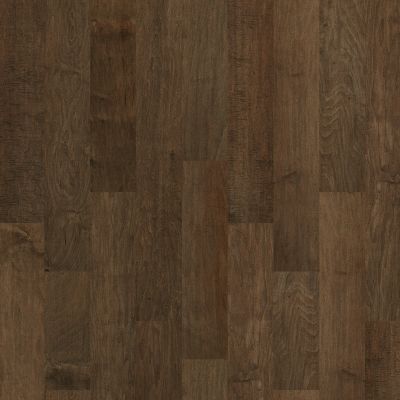 Shaw Floors Sfn MENDOCINO Bison 03000_200SA