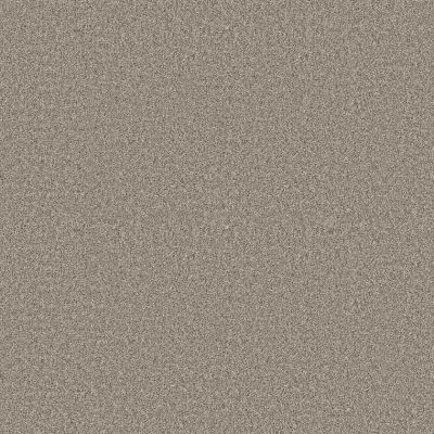 Shaw Pet Perfect Affirmations II Vintage Pewter 5E795_00105