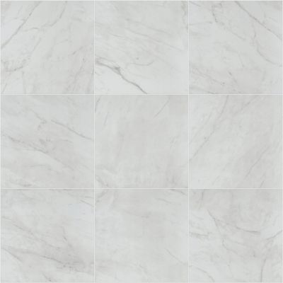 Shaw Floors Ceramic Solutions Altezza 20x20 Carrara 00150_CS88X