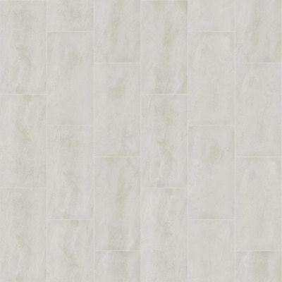Shaw Floors Ceramic Solutions ARENA 12X24 Bone 00100_221TS
