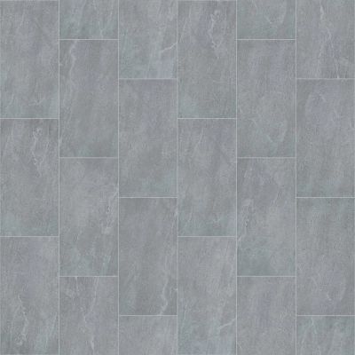 Shaw Floors Ceramic Solutions ARENA 12X24 Grey 00500_221TS