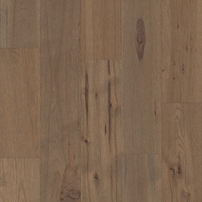 Shaw Floors Sfn ARGONNE FOREST HICKORY Greyfriar 07101_SA420