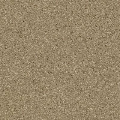 Shaw Floors Pet Perfect Plus Basic Rules TEXTURE Gold Rush tfsnm-00200_E9639