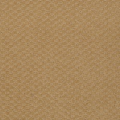 Philadelphia Commercial LATEST TREND Camelback 98280_54098