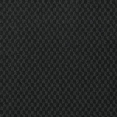 Philadelphia Commercial LATEST TREND Black Hills 98302_54098