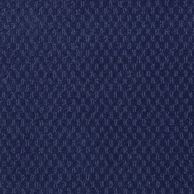 Philadelphia Commercial LATEST TREND Blue Clover 98402_54098
