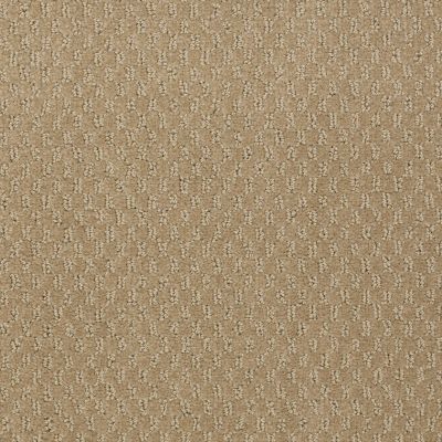 Philadelphia Commercial LATEST TREND Alpaca 98700_54098