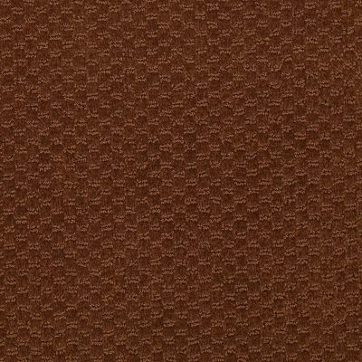 Philadelphia Commercial LATEST TREND Brown Bear 98751_54098