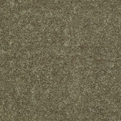 Shaw Floors Full Court 12' Aloe 00300_52Y46