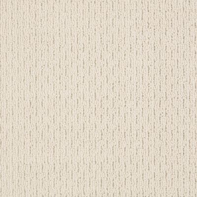 Anderson Tuftex AMERICAN HOME FASHIONS Another Place Brushed Ivory 00111_ZA812