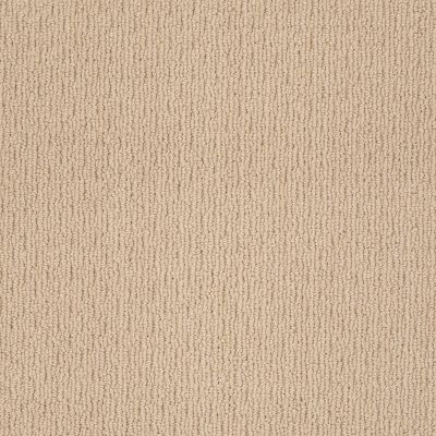 Anderson Tuftex AMERICAN HOME FASHIONS Ahead Of Time Big City Beige 00172_ZA820
