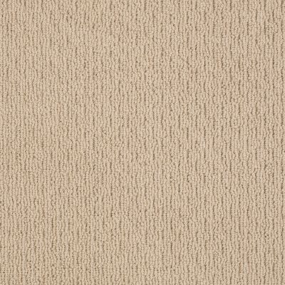 Anderson Tuftex AMERICAN HOME FASHIONS Another Place Baked Beige 00173_ZA812